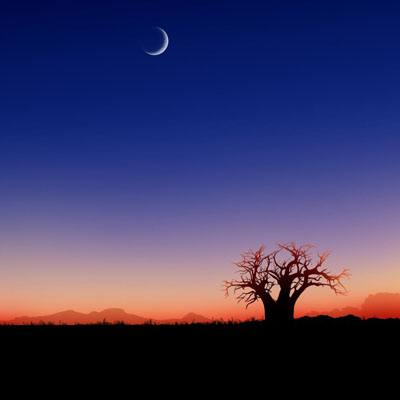 开元棋脾官方网站