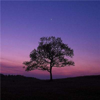 开元ky888vipapp下载