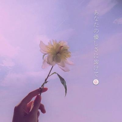 万博最新ManBetX网页版登录